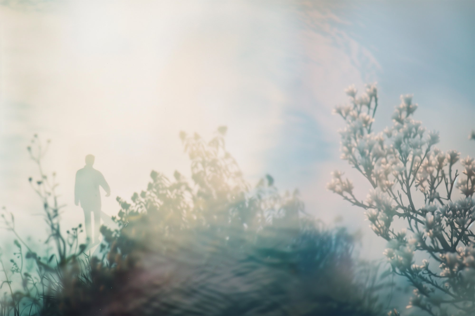 soee._someone_disappear_into_white_space_film_photograph_fade_l_0f77e735-64f4-417c-b9a7-bc8a0ee63c7b-min